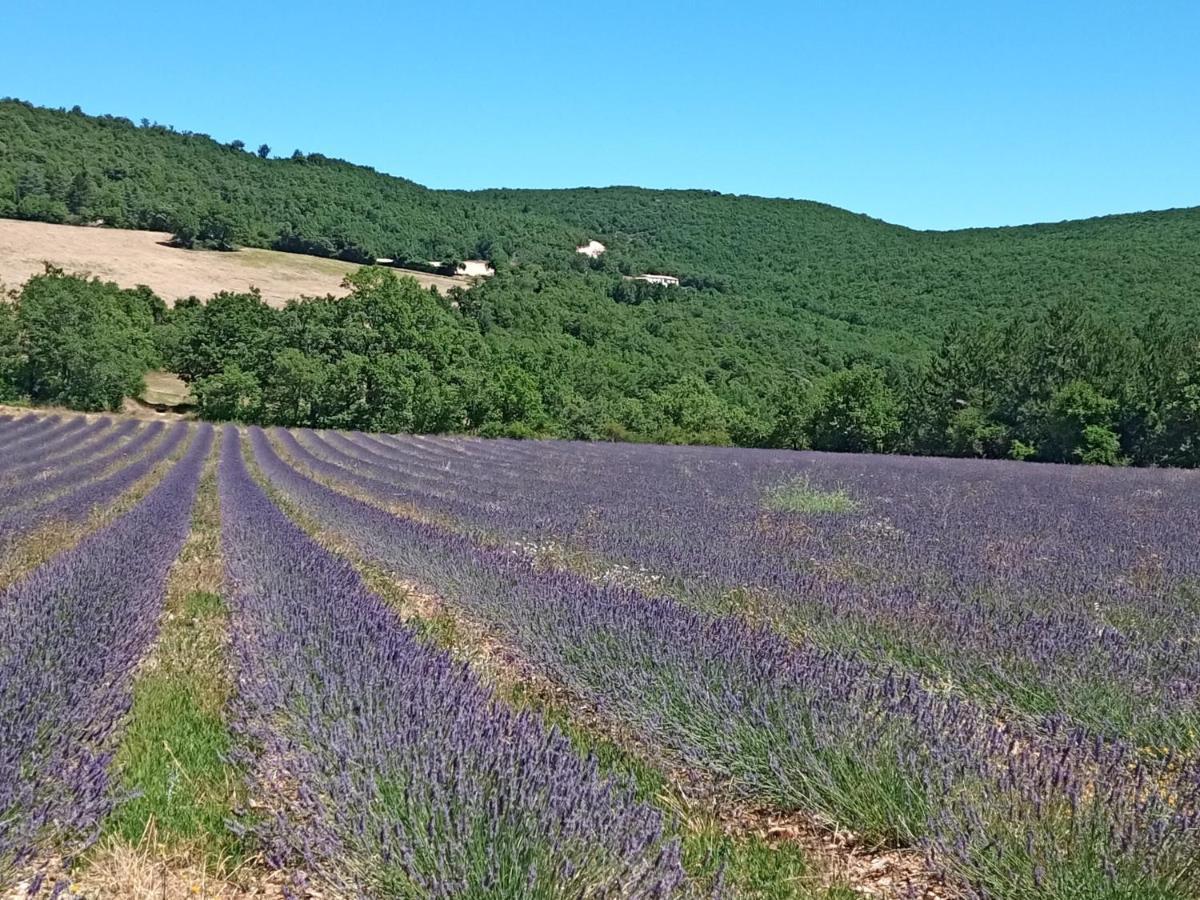 Gite Avec Piscine "La Maison De Valentine" En Provence Montsalier Exteriör bild