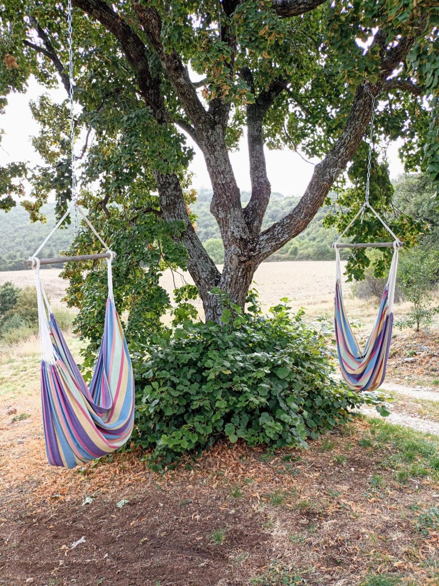 Gite Avec Piscine "La Maison De Valentine" En Provence Montsalier Exteriör bild